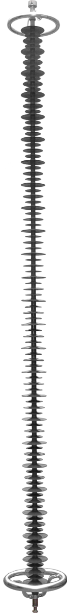 CS